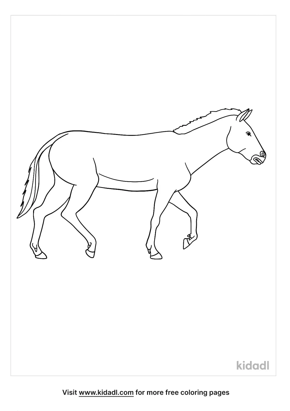 185