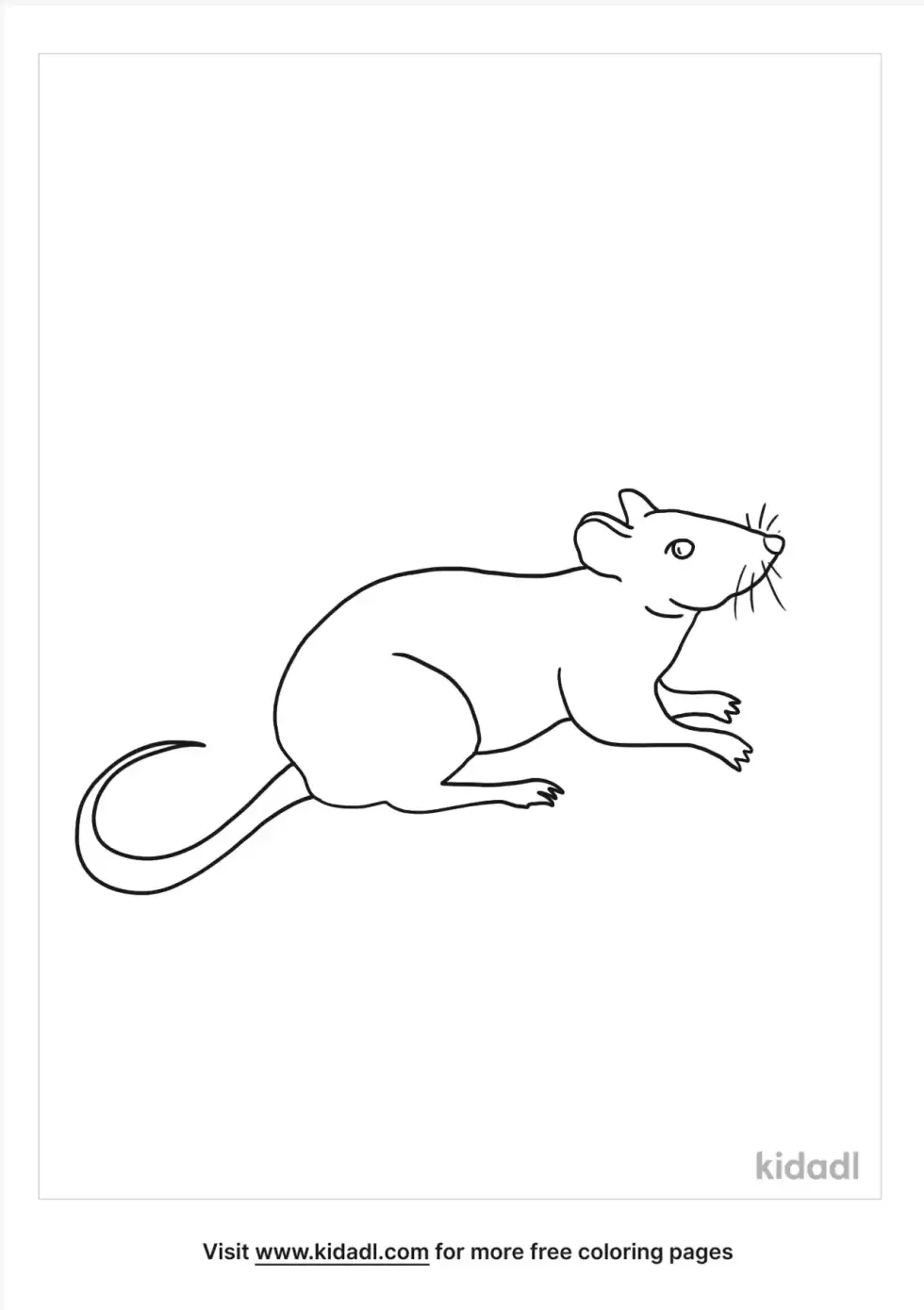 191