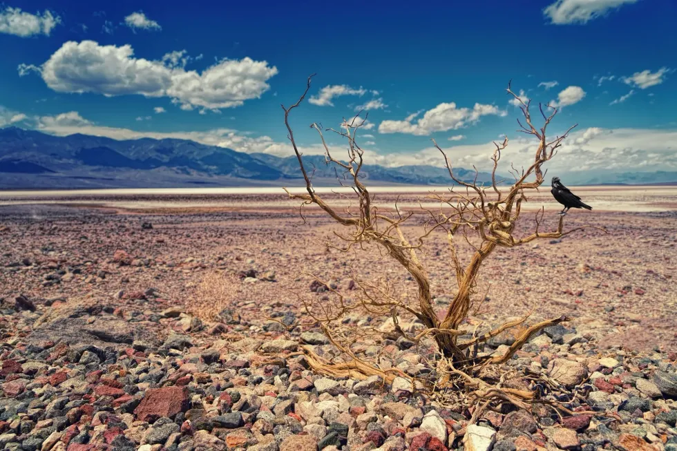 1976 UK drought facts - the longest dryness spell.