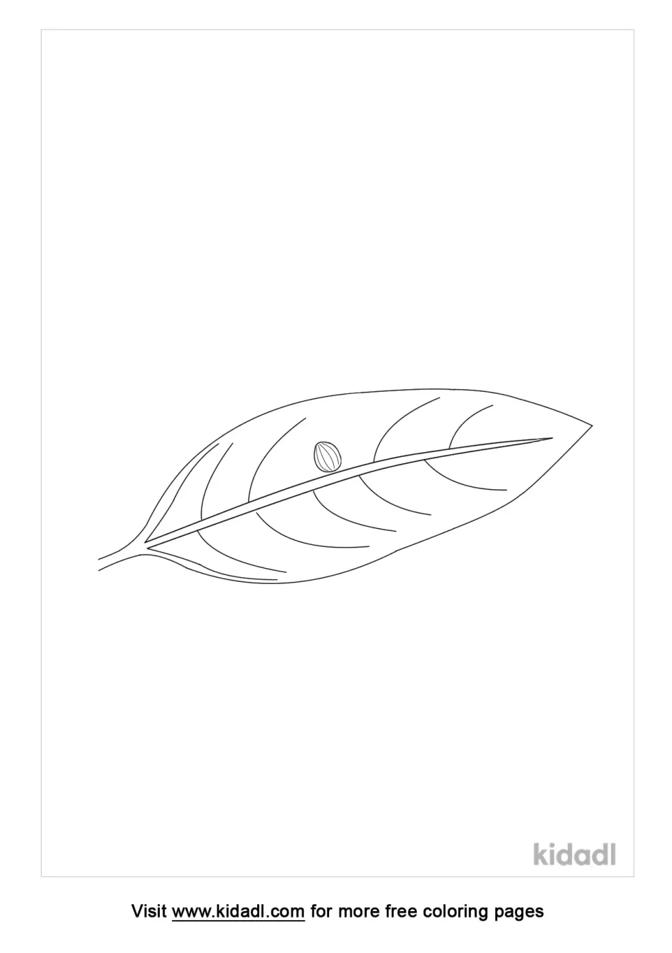 Monarch Butterfly Eggs Kidadl