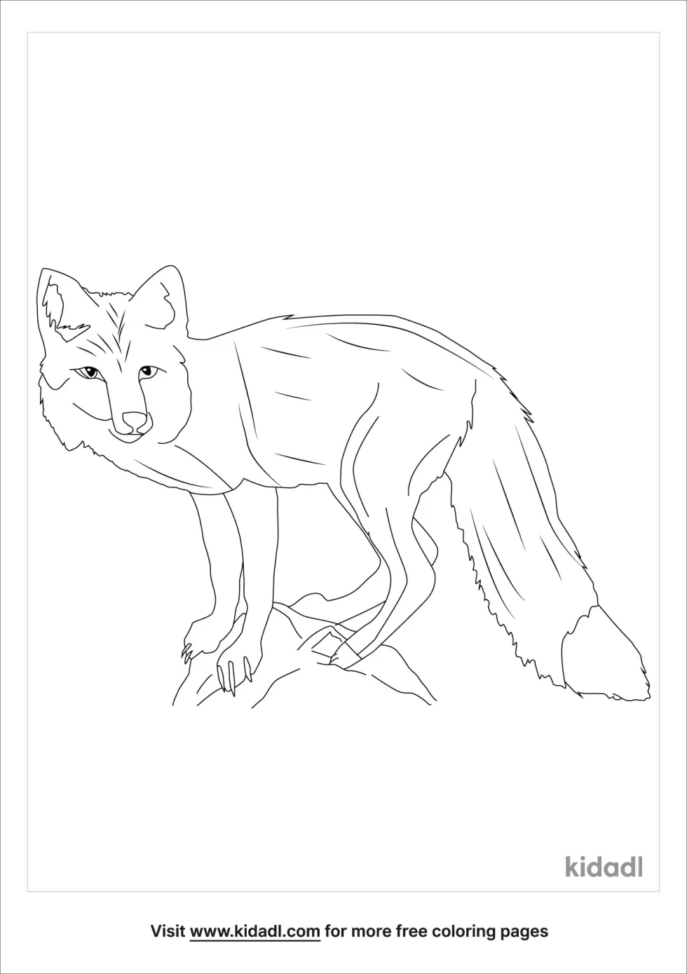 Realistic Fox Coloring Page | Kidadl