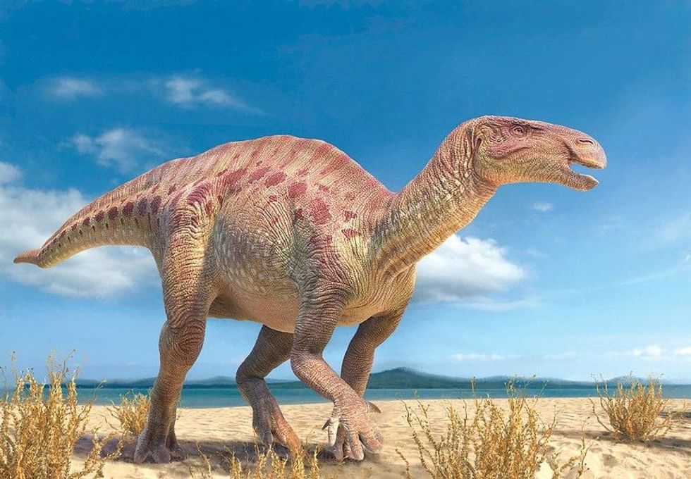 3D illustration of Iguanodon.