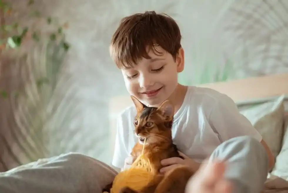 A baby boy and his cat are playing with yellow wool thread