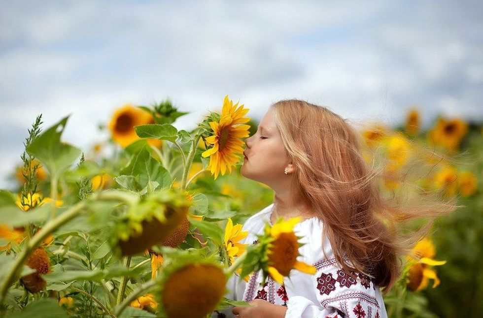 66 Sunflower Puns That Stand Out | Kidadl