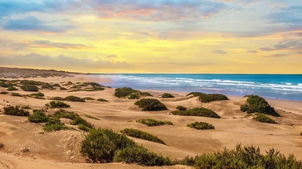 A beautiful image of a beach