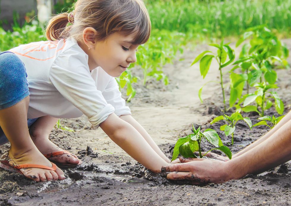 A child plants a plant in the garden