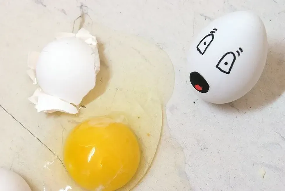 A cracked egg after the egg drop challenge.