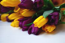 When Do Tulips Bloom? Beautiful Flower Facts On Bloom Times | Kidadl