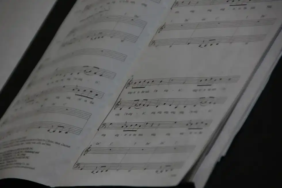 A famous 'Singing In The Rain' fact is Author Freed added his own songs to make this film a little different.