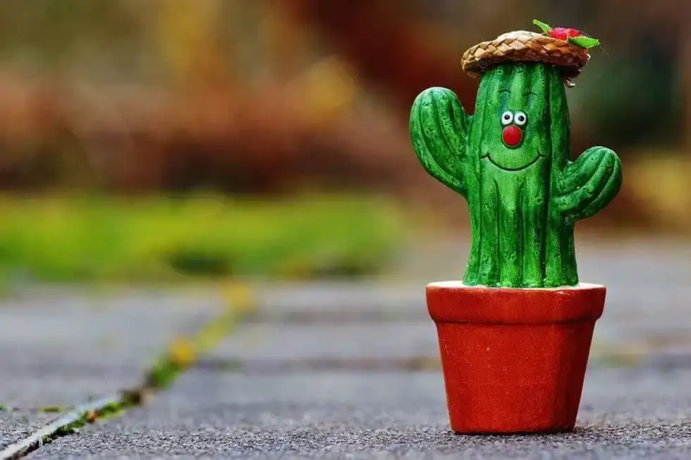 A funny cactus in a pot with a red nose and wearing a straw hat.