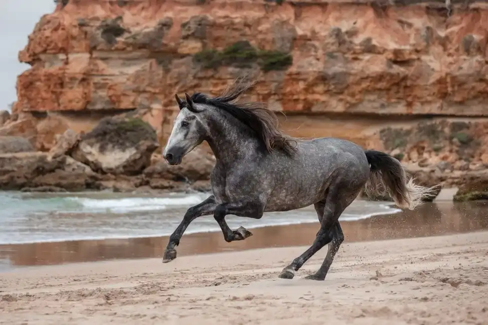 A how to tame a horse fact is that a horse in Minecraft can be found in plains, savanna biomes, or village stables.