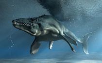A large mosasaur swimming in water.