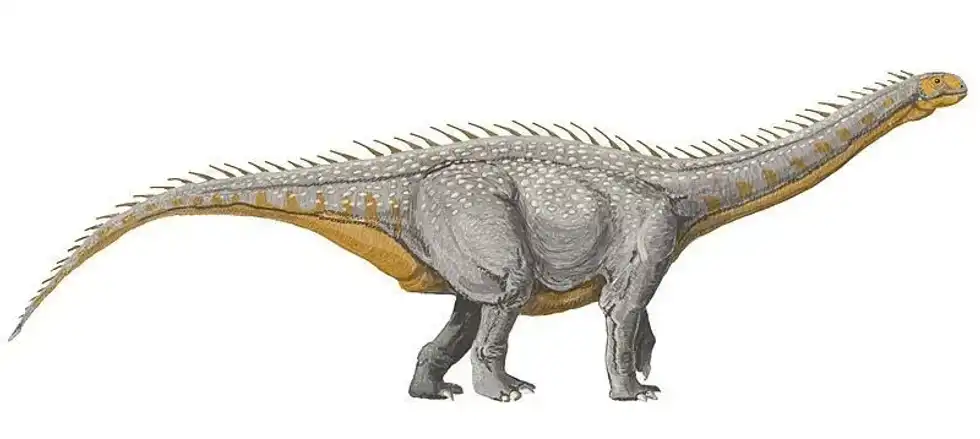 A lesser known Uberabatitan fact is they are from the formation Bauru group upper Cretaceous minas Gerais Brazil.