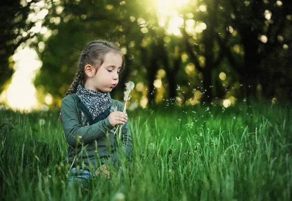 A little girl blowing dandelion in a green field