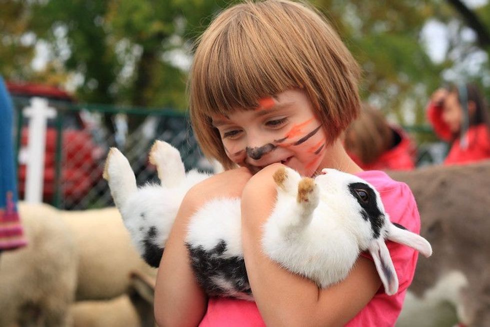 A little girl with painted tiger face holding a rabbit.