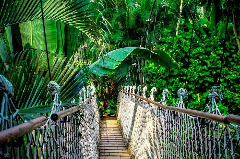 A number of ancient Amazon names find their roots in a famous story, culture of Asia, or are inspired by historical men and women.