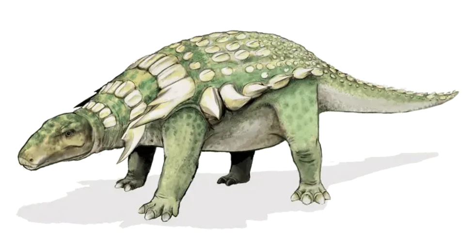 A painting of the Arcusaurus on a plain white background.
