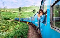 A passenger leans out of a bright blue train window, capturing the stunning tea plantation landscape as the train travels through a hilly, verdant region.