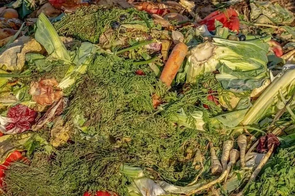 A pile of assorted vegetable waste and scraps.