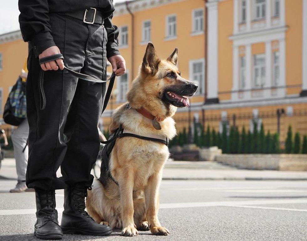 A police officer with dog 