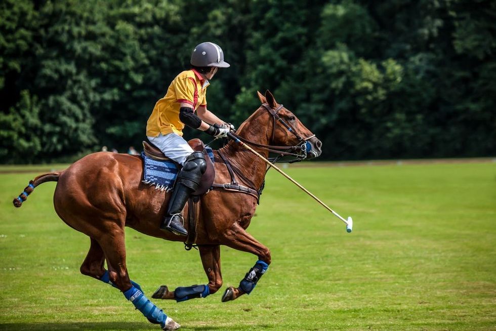 A Polo Player hits the Polo ball with a stick.