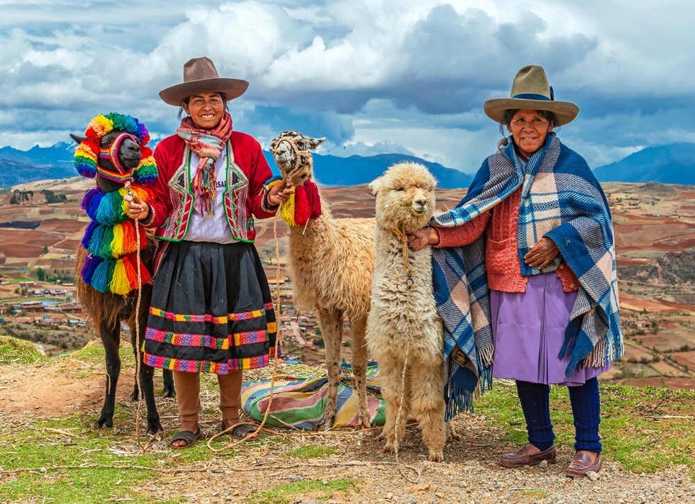 A rural portrait of Peruvian Quechua Indigenous Women in traditional clothes with their domestic animals, two llama and one alpaca in the Cusco province.