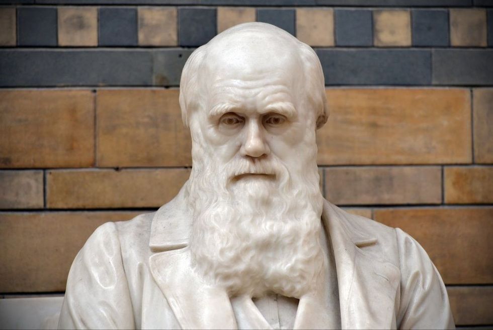 A statue of Charles Darwin sits in the Natural History Museum.