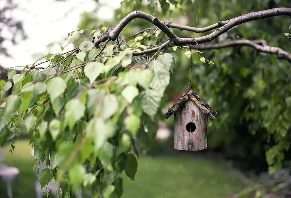 A tiny bird house hanging from a tree branch.