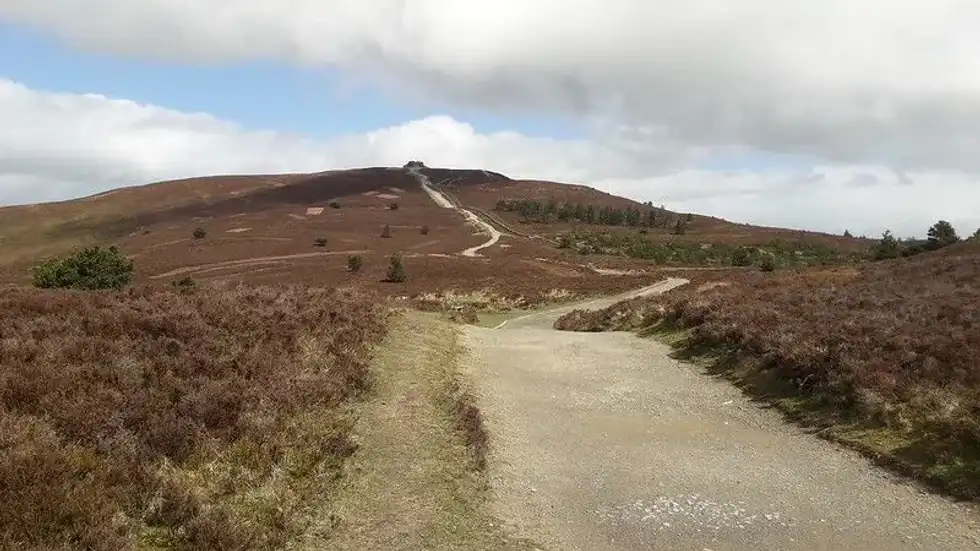 A view of the landscape at Loggerheads Country Park.