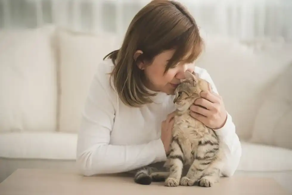 A woman is petting her adorable white and black striped cat