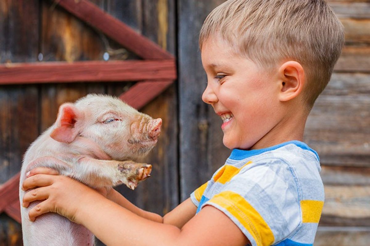 A young boy with a big smile holds a small piglet in his arms in front of a wooden barn, embodying the joy and humor found in farm jokes for kids.