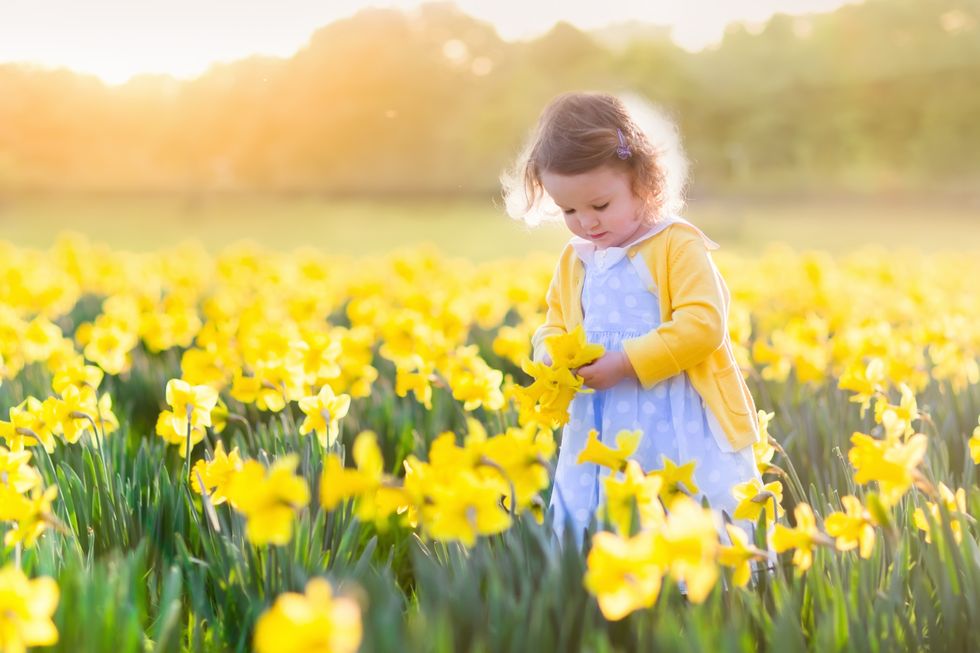 A young child in a blue and yellow outfit tenderly interacts with daffodils in a sunlit field, encapsulating the joy and beauty of the spring season.