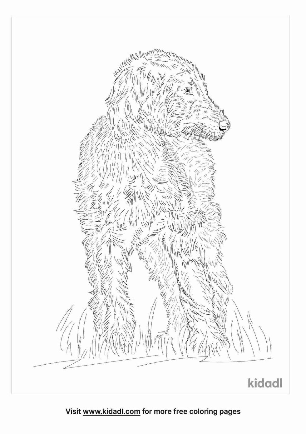 about the a special hybrid dog breed 