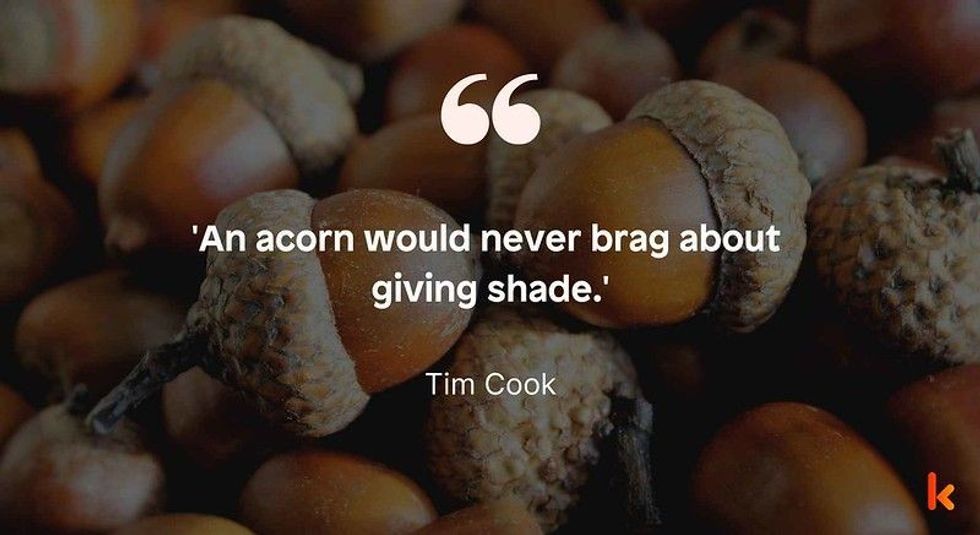 Acorn quote by Tim Cook
