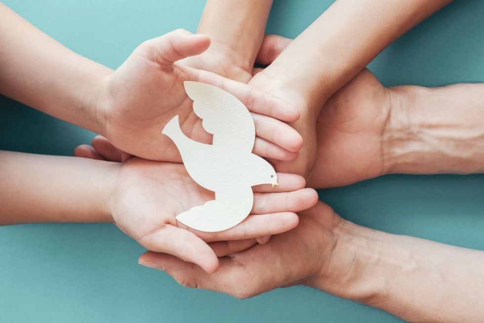 Adult and child hands holding white dove bird 