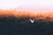 Aesthetic helps you to learn and appreciate the beauty that is around and can help to brighten your day.