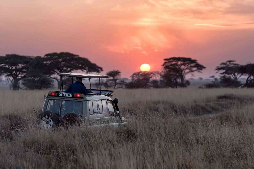 Africa is a wondrous continent most famous for its wildlife