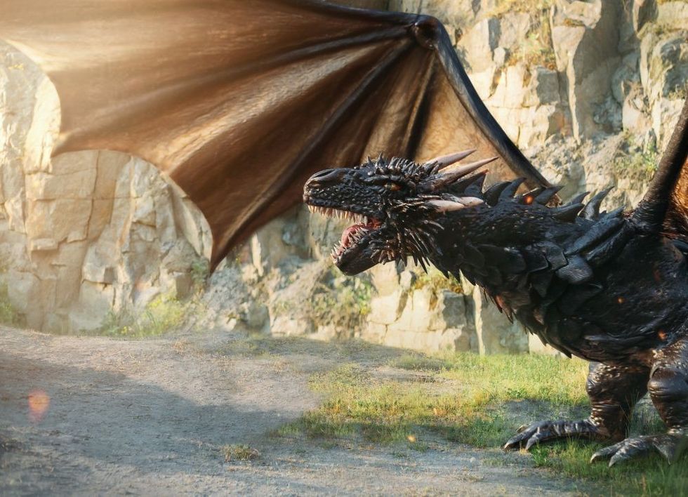 Aggressive Dragon 