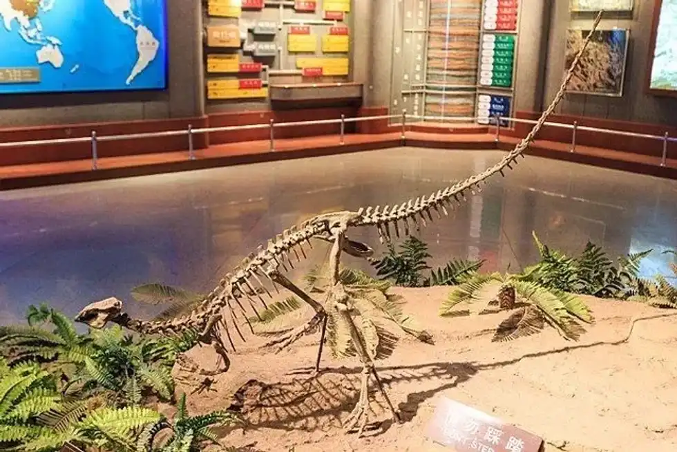 Agilisaurus facts are great for kids.