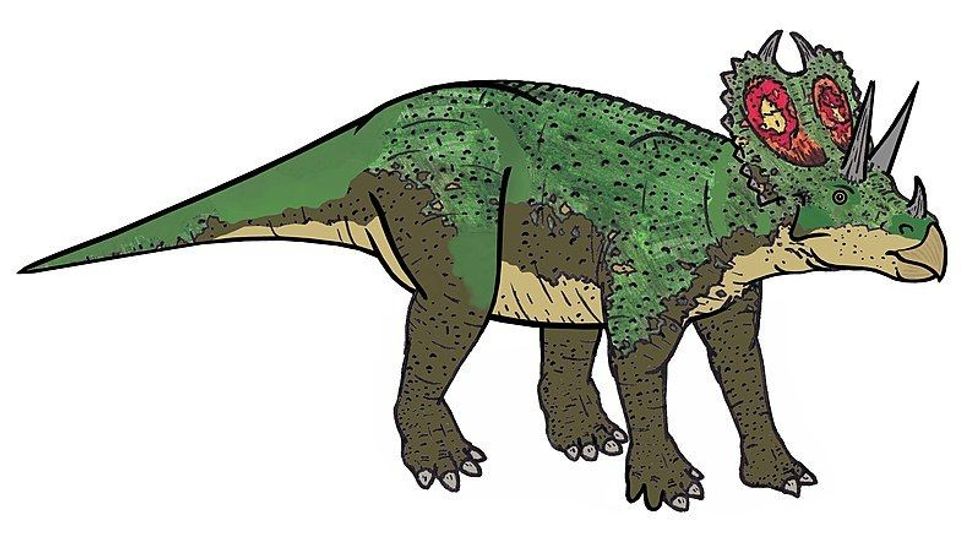Agujaceratops facts include the word 'Agujaceratops' means 'horned face from Aguja'.