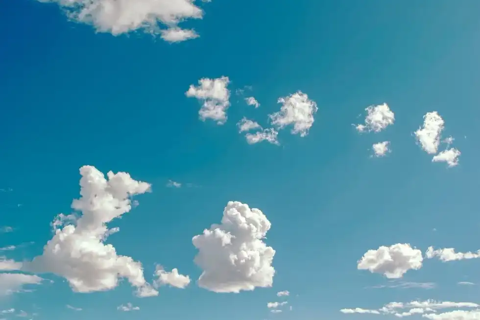 Air facts will tell you more about the atmosphere of the Earth and how it helps birds fly.