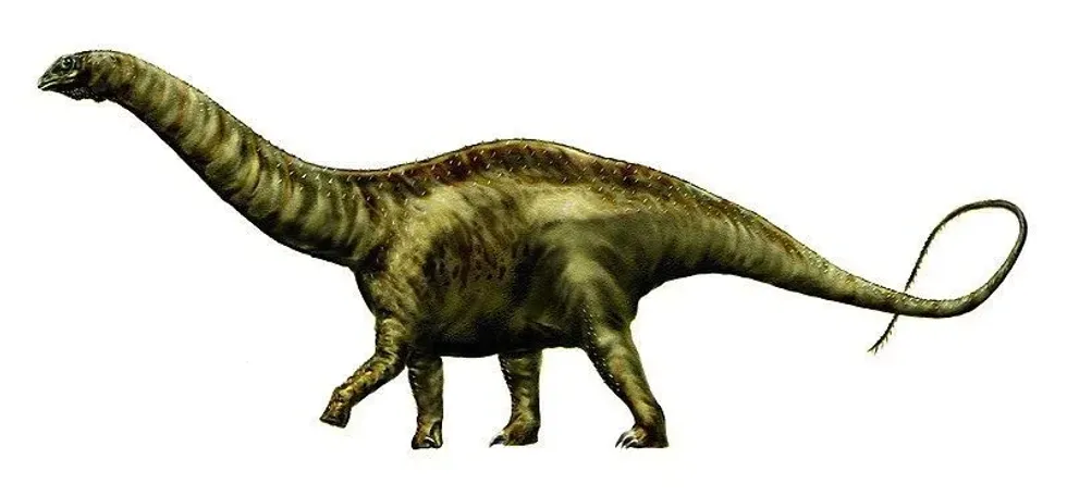 Albalophosaurus facts such as it was found in the woodlands of Japan.