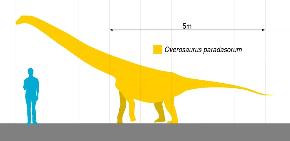 Algoasaurus facts are interesting.