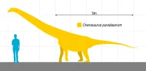 Algoasaurus facts are interesting.