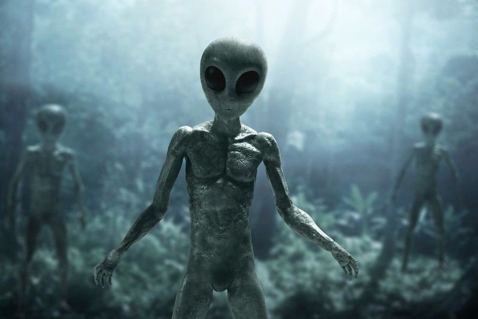 Alien creatures in the forest.