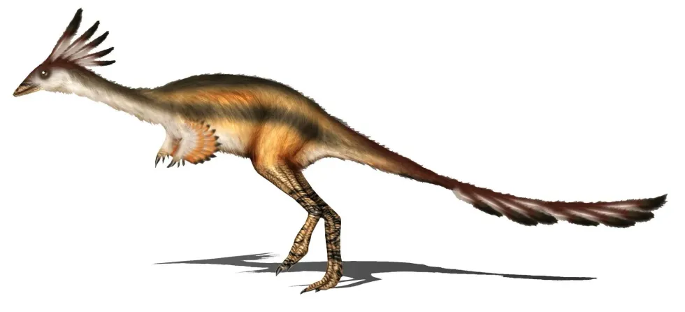 Alvarezsaurus facts are interesting.