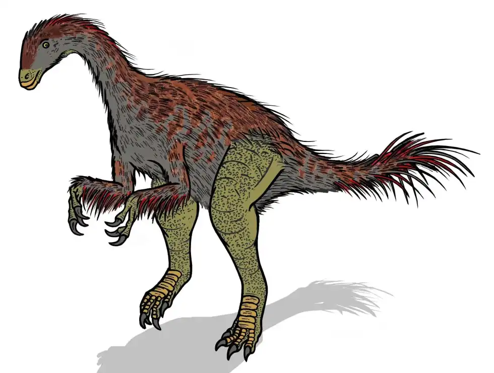 Alxasaurus facts are great for kids.