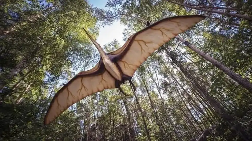 Amazing Bakonydraco facts that you need to know.