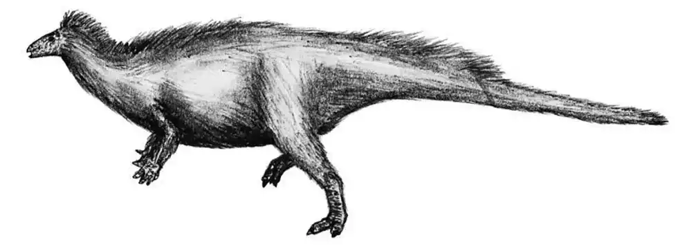 Amazing Camptosaurus facts that everyone will love.