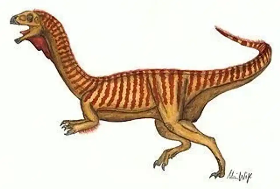 Amazing Chilesaurus facts to learn more about this incredible dinosaur species that lived in the late Jurassic period so let’s dig in.